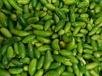 Dondakaya